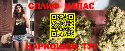 дмт Донской
