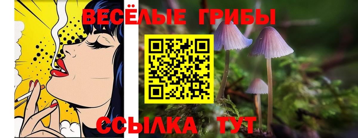 Галлюциногенные грибы Psilocybine cubensis  Псилоцибиновые грибы ЛСД  купить наркотик  Вход с VPN  Новотроицк 
